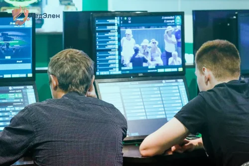 Парни делаю ставки на спорт
